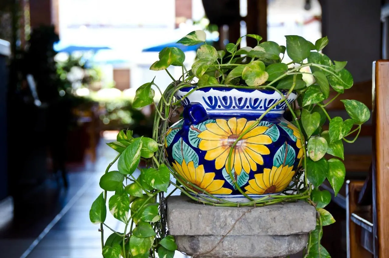Hotel Hacienda Vallarta - Playa Las Glorias Puerto Vallarta
